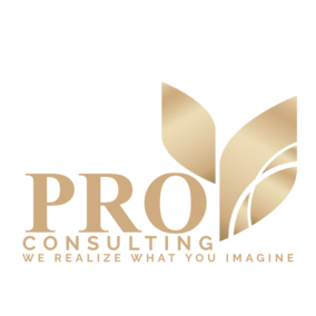proconsulting.co.za